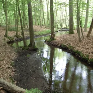 Landscape to eitzener brook in bienenbuettel germany Landscape to eitzener brook in bienenbuettel germany