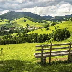 Landscape with flowering meadows