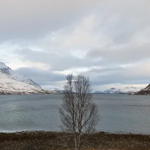 Landscape at Kaldfjorden, Troms, Norway, Europe Landscape at Kaldfjorden, Troms, Norway, Europe
