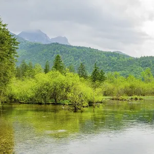 Landscape of Lake Almsee on a rainy day in spring Landscape of Lake Almsee on a rainy day in spring