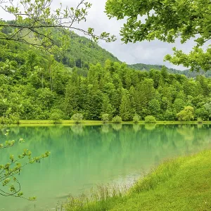 Landscape of Lake Elisabethsee on a rainy day in spring Landscape of Lake Elisabethsee on a rainy day in spring