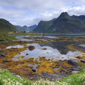 Landscape near Austvagoy, Lofoten Landscape near Austvagoy, Lofoten