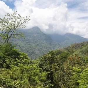 Landscape near Ooty Coimbatore
