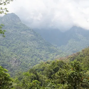 Landscape near Ooty Coimbatore