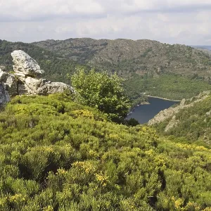 Landscape near Villefort, Cevennes National Park
