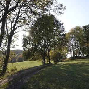 Landscape in the Odenwald Landscape in the Odenwald