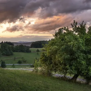Landscape in the Odenwald with trees
