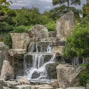 Landscape, park, trees, shrubs Landscape, park, trees, shrubs