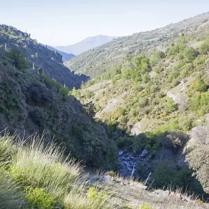 Landscape of the River Rio Poqueira gorge valley