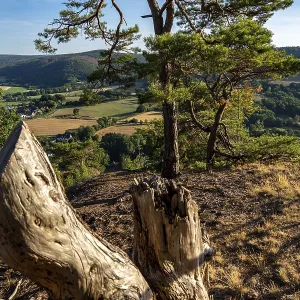 Landscape in the Rureifel, view of the countryside