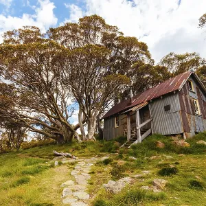 Falls Creek Landscape Print - Victorian Alps, Australia