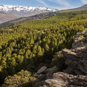 Landscape of Sierra Nevada Mountains in the High Alpujarras