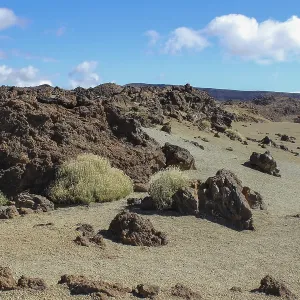 Landscape around the Teide, the highest mountain of spain