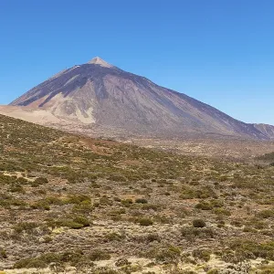 Landscape with vegetation typical of the Parque Nacional de las Canadas del Teide