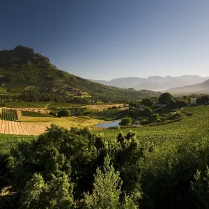Western Cape Vineyard Landscape Print Western Cape Vineyard Landscape Print