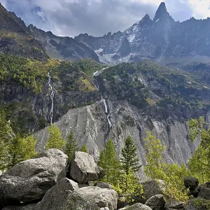 Larches stand in rocky terrain Larches stand in rocky terrain