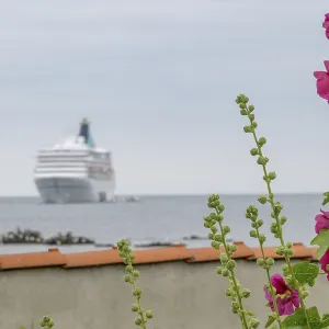 Large cruise ship on the sea with blooming flowers in the foreground Large cruise ship on the sea with blooming flowers in the foreground