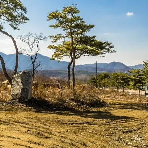 Large granite boulder standing in shade of trees next to rural country road on sunny day in South Korea