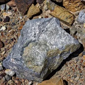 A large, grey rock on a soil of pebbles and earth