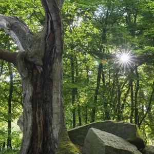 Large stone grave, Heide sacrificial table