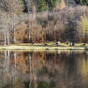 Late autumn, water reflection in moor pond Late autumn, water reflection in moor pond
