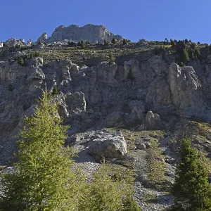 Latemar, Dolomites, South Tyrol, Italy