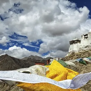 Leh Tsemo fort and gompa and lungta (prayer flags) flying in the wind