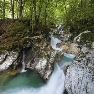 Lepenjica River, Cascades, Triglav National Park Lepenjica River, Cascades, Triglav National Park