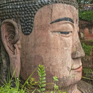 Leshan, China - July 2019 : The close up of the head of the Giant Leshan Buddha Leshan, China - July 2019 : The close up of the head of the Giant Leshan Buddha