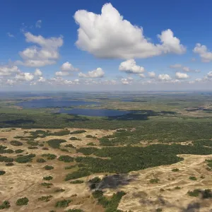 Letea Forest, Europe's northernmost subtropical forest Letea Forest, Europe's northernmost subtropical forest