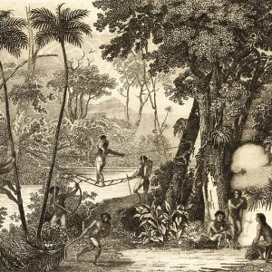 Liana bridge in the tropics, jungle