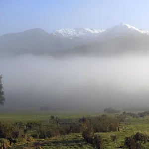 A light mist rolls across a West Coast farm in the early morning