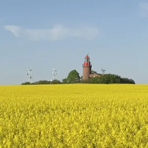 Lighthouse Buk with flowering rape field