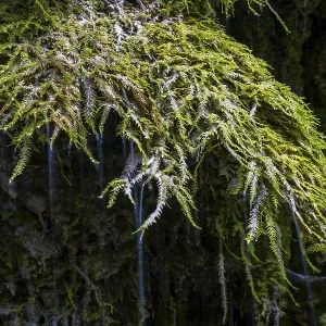Limestone crusts on Mossen, Hinanger waterfalls