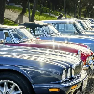 Lisbon, Portugal, Jan 20, 2024: A row of shiny vintage cars of Jaguar