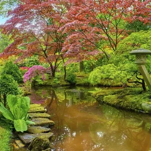 Little Japanese garden after rain