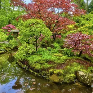 Little Japanese garden after rain