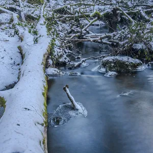 A log is lying in the snow next to a small stream A log is lying in the snow next to a small stream