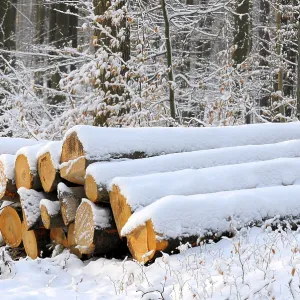 Log store in the winter forest with snow