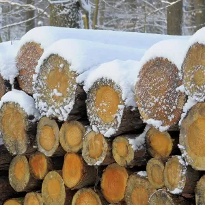 Log store in the winter forest with snow