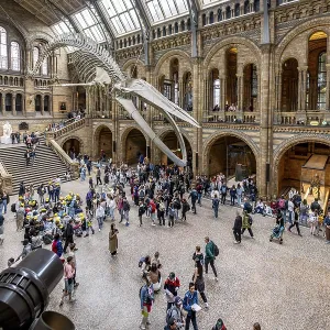 London, United Kingdom - 15 May 2025
