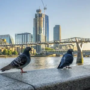 London, United Kingdom - 17 May 2025: Scenic riverside view of the Millennium Bridge