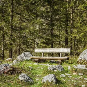 Lonely bench in forest, Germany, Europe Lonely bench in forest, Germany, Europe