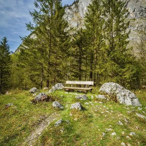 Lonely bench in forest, Germany, Europe Lonely bench in forest, Germany, Europe