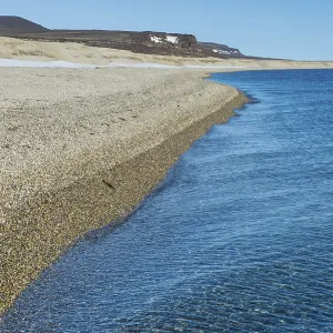 Long deserted beach, Torellneset, Svalbard, Arctic Long deserted beach, Torellneset, Svalbard, Arctic