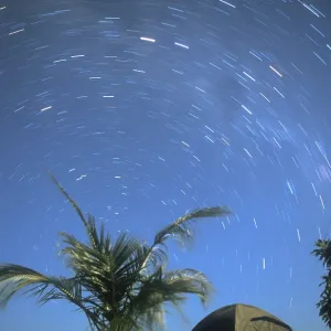 Long exposure, palm tree, tent Long exposure, palm tree, tent