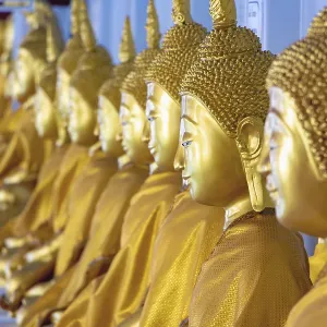 A long line of golden statues of the Buddha at Buddhist temple in Thailand