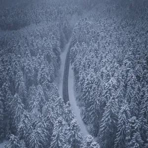 Long, snowy road in a thick winter forest