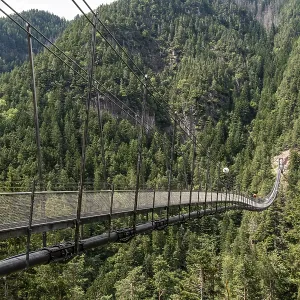 Long suspension bridge over a forest gorge in the South Tyrolean Alps