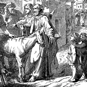 The Lord needs him, a disciple buys a foal for Jesus at the market near Bathania The Lord needs him, a disciple buys a foal for Jesus at the market near Bathania